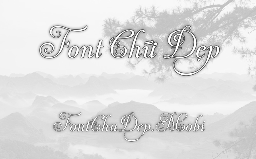Font MTD Andrade Pro Script Việt Hóa