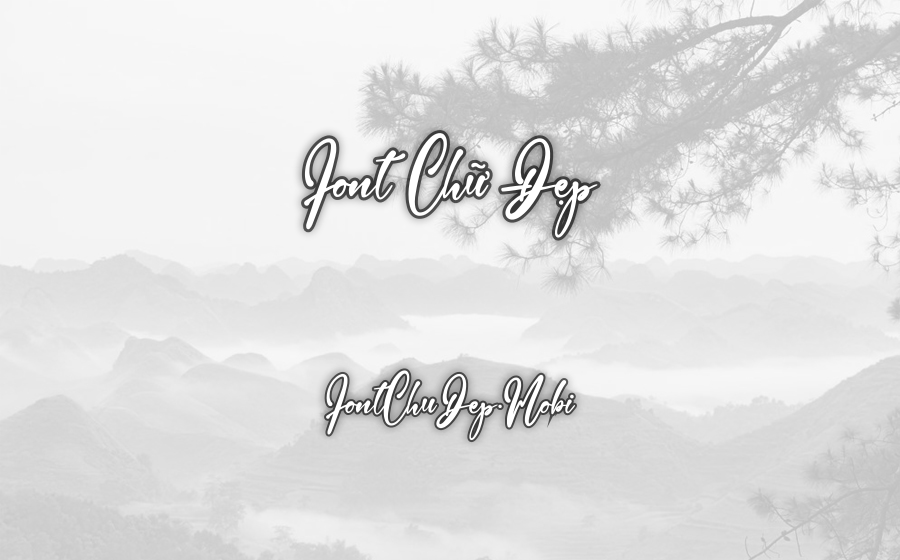 Font MTD Berrigela Anitta Việt Hóa